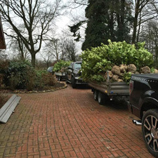 Planten op de kwekerij